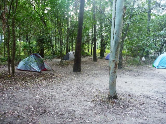 Set up camp in a bush setting beside the creek at Big Bend walkers' camp.