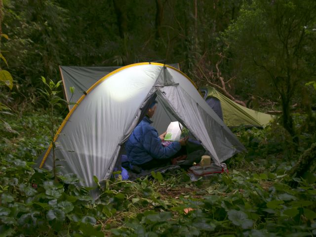 Enjoy the peace and quiet, surrounded by ancient forest.