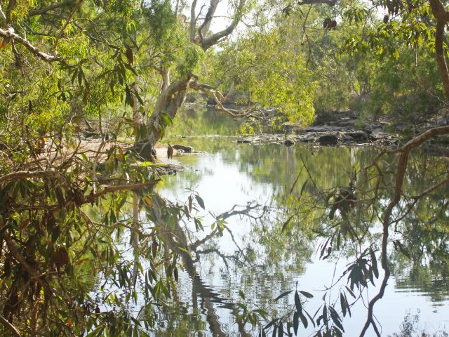 You'll overlook tidal Five Mile Creek from this large and open camping area