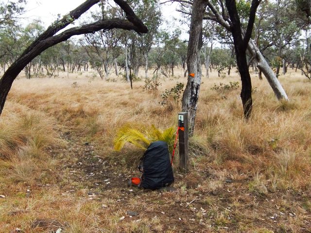 Cabbage Tree camping zone is a great overnight stop on the Great Walk.