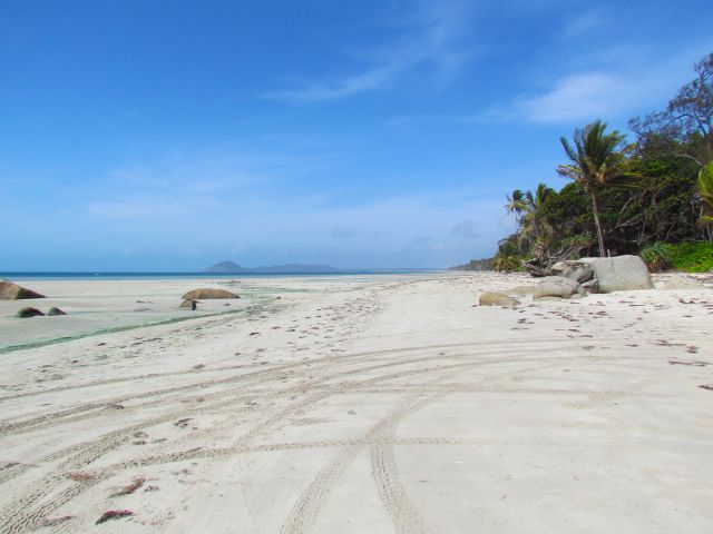 You can return to the camping area along Chilli Beach or back along the forest walk.