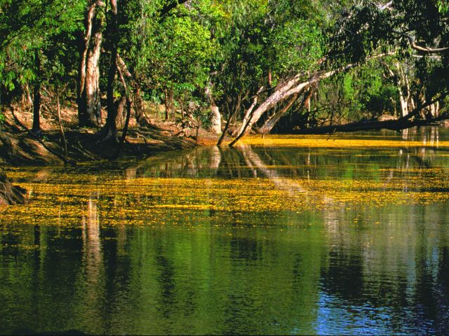 Catfish Waterhole is one of many deep and permanent waterholes along the North Kennedy River.