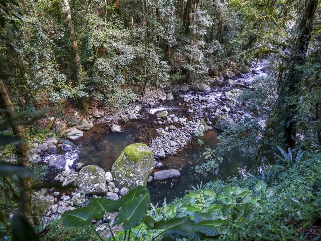 Follow the creek on this 13.9km circuit.