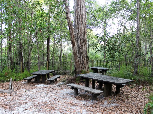 Find a perfect picnic spot under the trees and inside the fence.