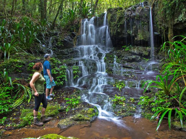 You'll be mesmerised by the stunning cascades of Poojabinya Falls.