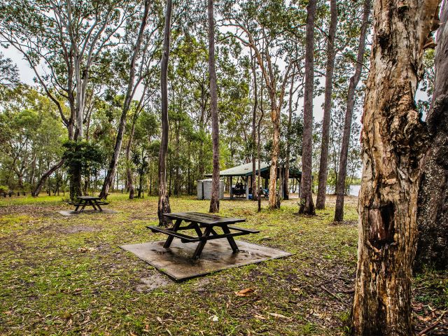 Picnic under the shelter or in the shade of the eucalypt trees.