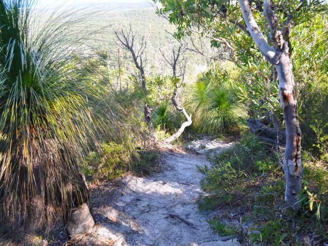The Mount Tempest lookout track is steep and requires a moderate level of fitness.