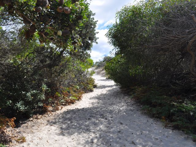 The Blue Lagoon track winds through heathland.