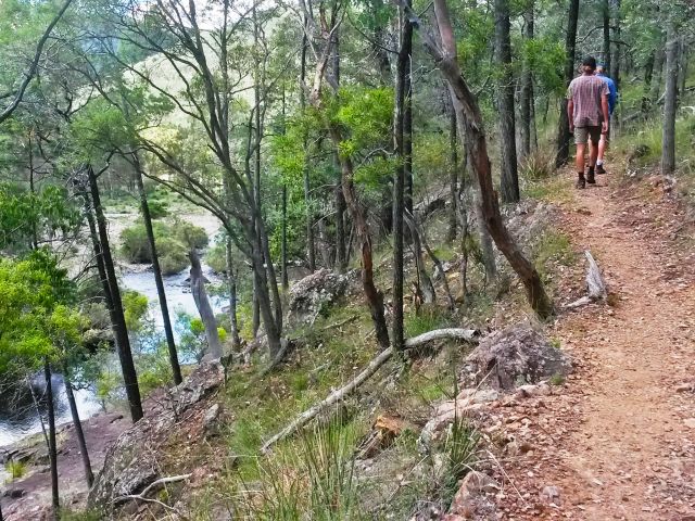 The Permanent Waterhole track is a gently sloping walk leading upstream along Ooline Creek.