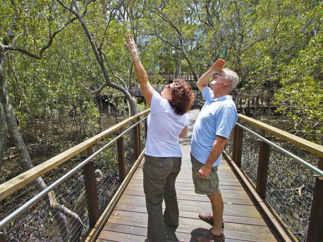 Keep an eye out for birds and other wildlife along the way.