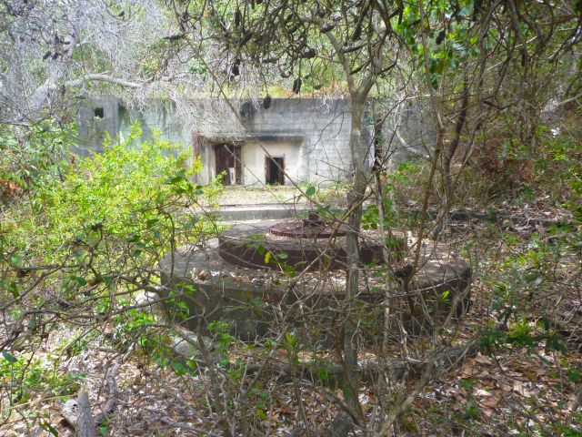 At Rous Battery there are many ruins of the large defence battery complex built during WWII.