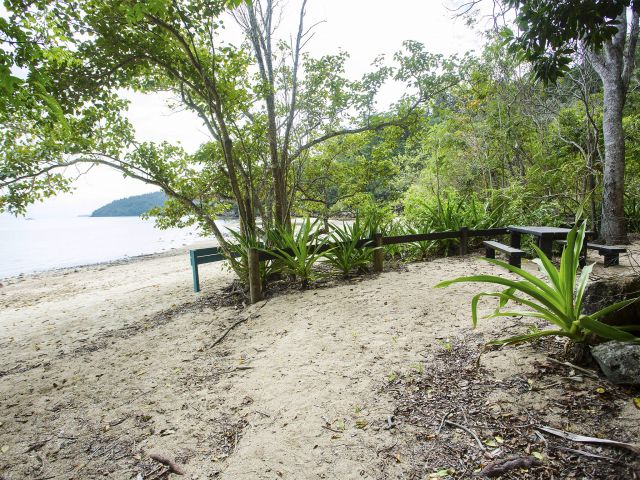 At Sawmill Beach day-use area you can enjoy a picnic in the vine forest with views of Cid Harbour.