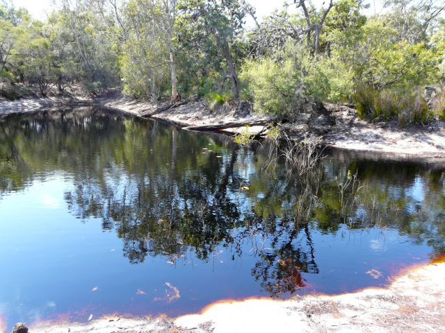 The waterholes are great places for birdwatching.