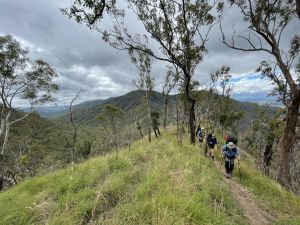 Image of sections of the trail which are open and exposed, so you will need sun protection.