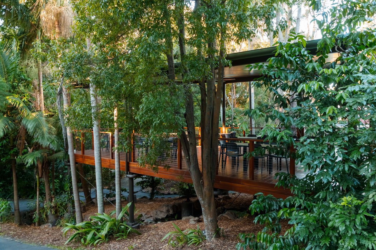 Photo of a wood enclosed deck area surrounded by trees