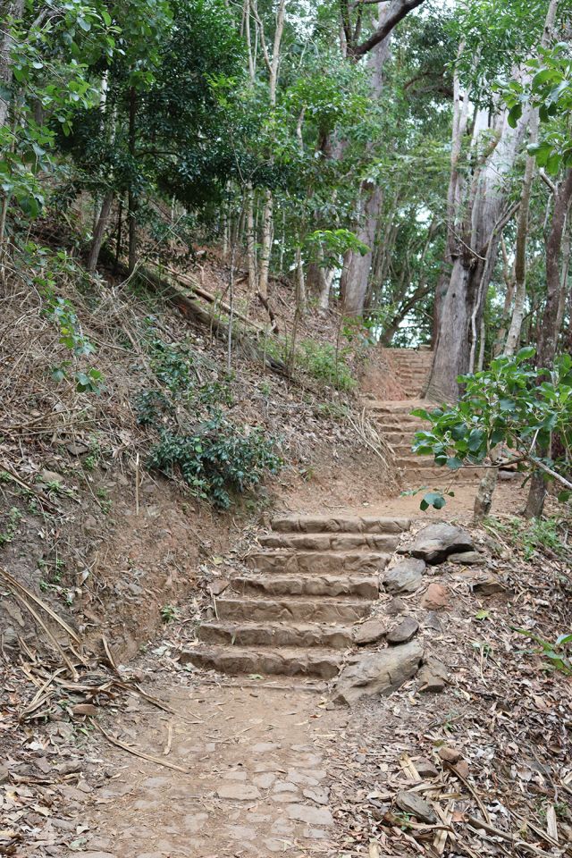 Photo of a set of about 10 stairs on the Acacia walking track