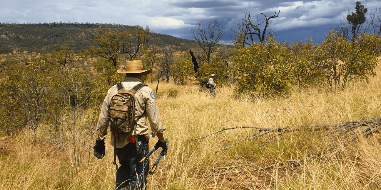 Two Rangers walking through dry, grassy terrain.