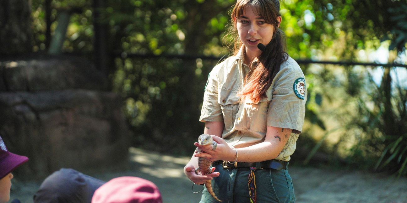Photo of Wildlife Ranger wearing a headset microphone holding a small blue-tongue lizard while speaking to a group of children during an educational wildlife presentation