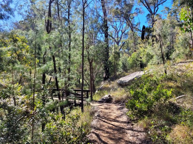 The Goodela walk hiking trail with a dirt path winding through tall dense green trees and shrubs under a clear blue sky. A wooden bridge crosses a small gully along the hiking trail.