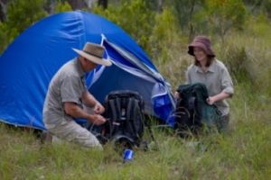 Two people setting up a tent at a remote bush camp in south D'Aguilar section, D'Aguilar National Park.