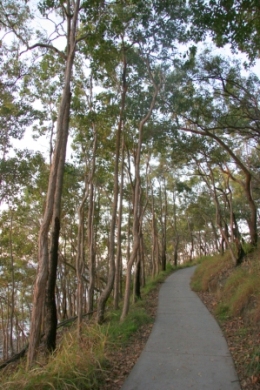 The Coastal Walk to Dolphin Point is a sealed, barrier free path. This image shows an uphill section of the walk close to Dolphin Point. 