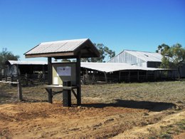 Camping at the Shirley shearing shed. 
