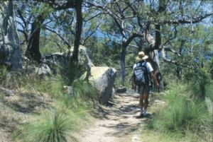 Image of someone walking on Magnetic Island with a backpack.