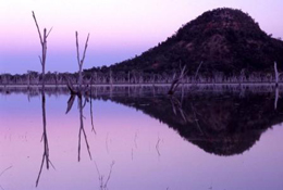 Photography can be a rewarding activity in Nuga Nuga National Park. 
