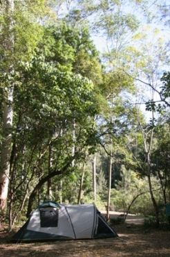 Image of Booloumba Creek 3 camping area, Conondale National Park.