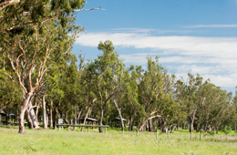 You can camp at the recreation area overlooking the lake.