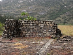 Image of Watsons cottage ruins which are a significant historic feature of the island.