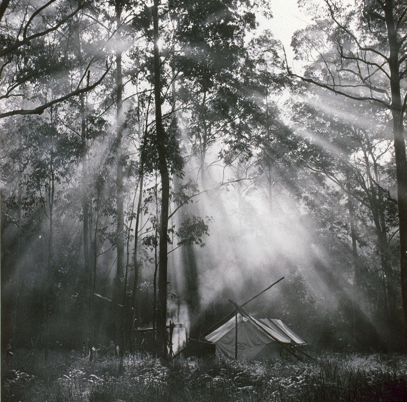 Camping out on the Illinbah circuit circa 1930s.
