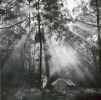 Camping out on the Illinbah circuit circa 1930s.