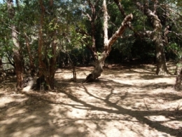Photo of Top Whiphandle Waterhole camping area