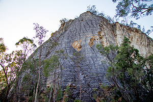 Image of Cathedral Rock which is a bluff of precipice sandstone with unusual rectangular patterns on its grey and weathered surface.