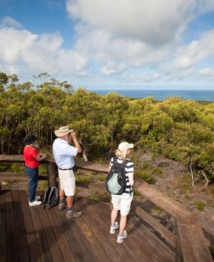 Enjoy views over the Pacific Ocean from the Neembeemba 'to see' lookout in Naree Budjong Djara National Park. 