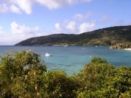 Image of Anchor Bay, looking towards Watsons Bay.