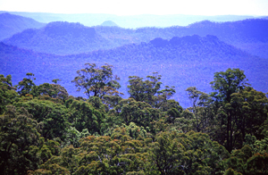 Photo of the remote nature of the Carnarvon Great Walk makes it special, but also calls for careful planning and safe walking