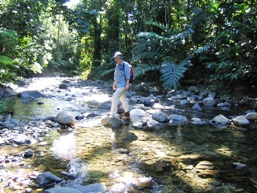 Creek crossing, Goldfield trail. 