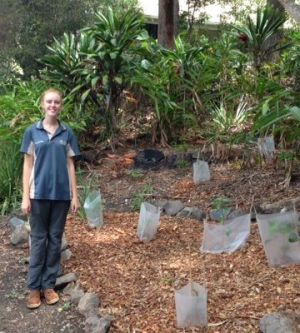 Volunteer with bush tucker garden refurbishment.