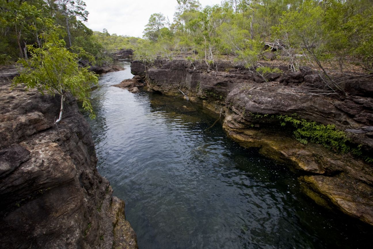 Maps and resources | Cape York Peninsula parks | Parks and forests ...