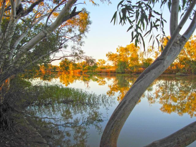 Gum Hole is a semi permanent waterhole on Whistling Duck Creek.