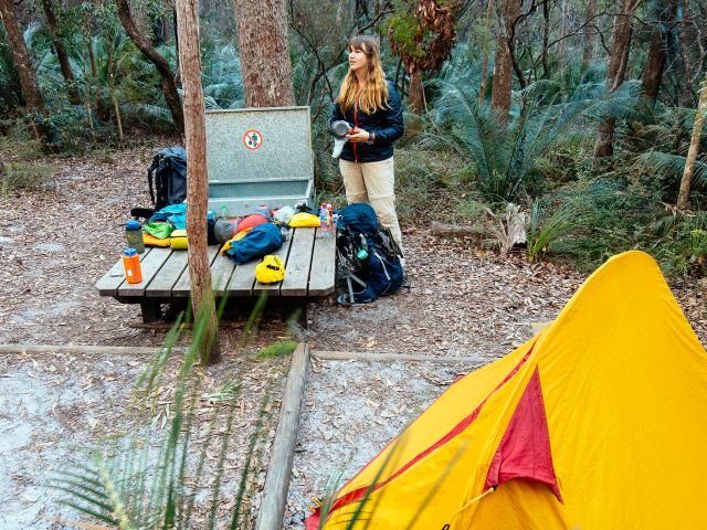The morning chorus is just one of the joys of camping here.