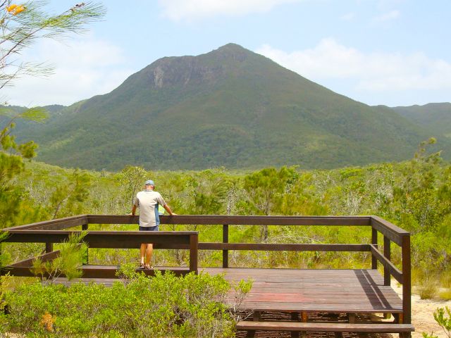 Be amazed by the colourful heath and views from the Mount Tozer viewing platform.
