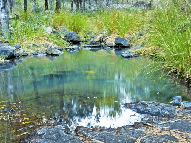Take in the sights and sounds of the river just outside your tent at Reedy Waterhole camping area.