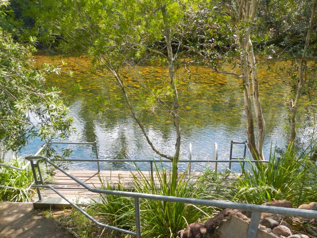 Creek access is easy from the swimming platform at Broadwater day-use area.