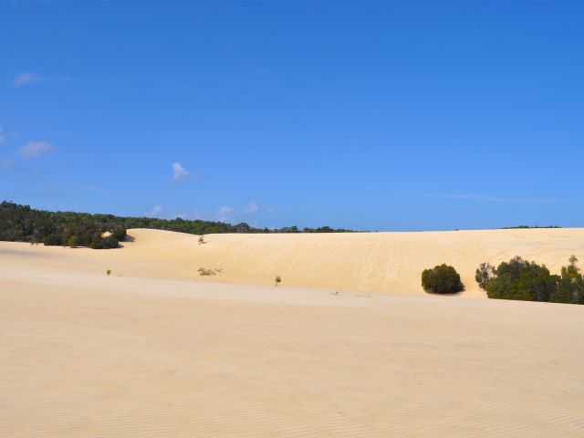 Sand dunes on The Desert track.