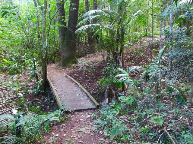 Meander through forest on this scenic  walk.