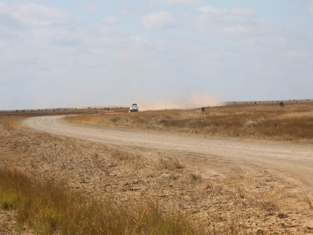 Marvel at the vast grasslands of the Nifold Plain.