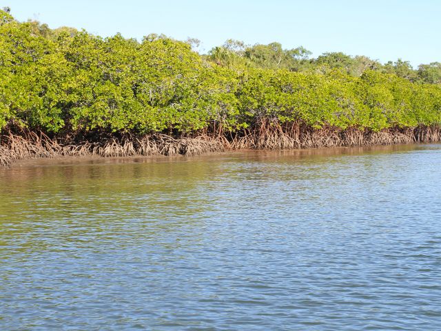 You can only access the inland route, via Middle and Pancake creeks, during high tide.